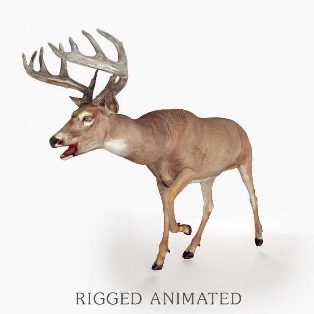 deer rigged 3D Model .c4d .max .obj .3ds .fbx .stl .blend 