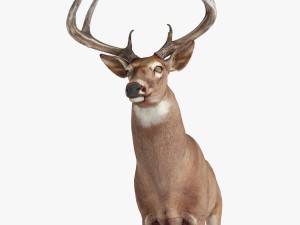 deer 3D Model