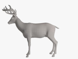 deer 3D Model
