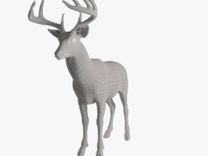 deer 3D Model
