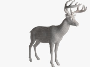 deer 3D Model