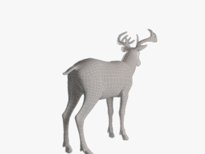 deer 3D Model