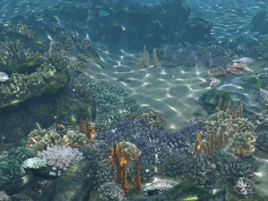 underwater coral reef habitat ocean v3 3D Model