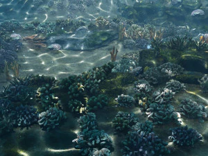 underwater coral reef habitat ocean v3 3D Model