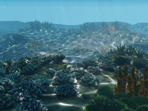 underwater coral reef habitat ocean v3 3D Model