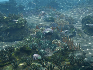underwater coral reef habitat ocean v3 3D Model