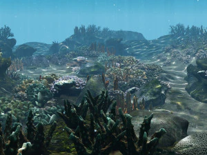 underwater coral reef habitat ocean v3 3D Model