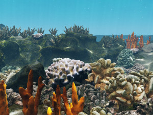 underwater coral reef habitat ocean v3 3D Model