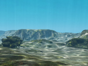 underwater coral reef habitat ocean v3 3D Model
