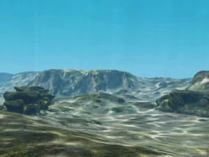 underwater coral reef habitat ocean v3 3D Model