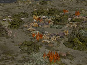 underwater coral reef habitat ocean v3 3D Model