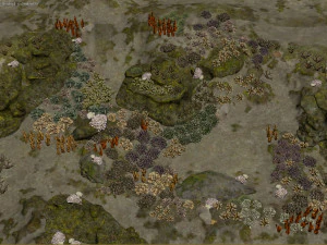 underwater coral reef habitat ocean v3 3D Model