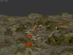 underwater coral reef habitat ocean v3 3D Model