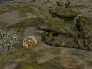 underwater coral reef habitat ocean v3 3D Model
