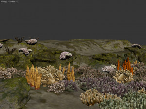 underwater coral reef habitat ocean v3 3D Model