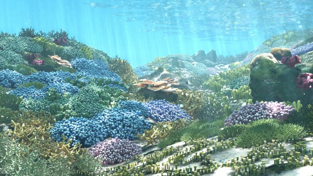 cartoon underwater coral reef habitat ocean version 2 3Dモデル .c4d .max .obj .3ds .fbx .stl .blend 