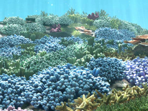 cartoon underwater coral reef habitat ocean version 2 3D Model