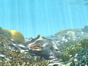 cartoon underwater coral reef habitat ocean version 2 3D Model