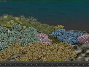 cartoon underwater coral reef habitat ocean version 2 3D Model