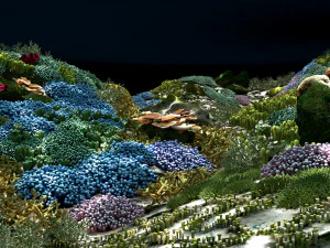 cartoon underwater coral reef habitat ocean version 2 3D Model