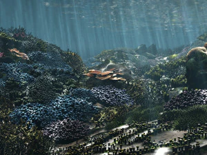 cartoon underwater coral reef habitat ocean version 2 3D Model