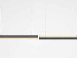 queue direct perdant double section Modèle 3D
