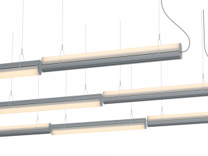 queue direct perdant double section Modèle 3D