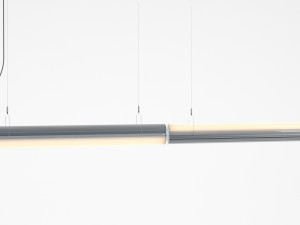 queue direct perdant double section Modèle 3D
