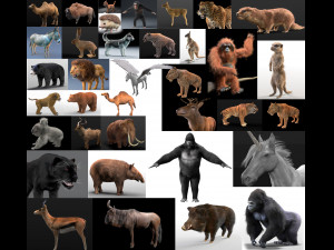 36 Ultimate Hair fur Animals Collection Rigged 3D Model
