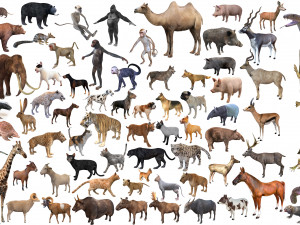 Mega Pet and Zoo animal collection 3D Model