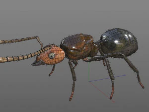 ant pbr rigged low poly insect 3D Model
