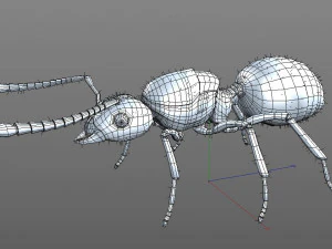 ant pbr rigged low poly insect 3D Model