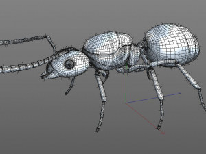 ant pbr rigged low poly insect 3D Модель