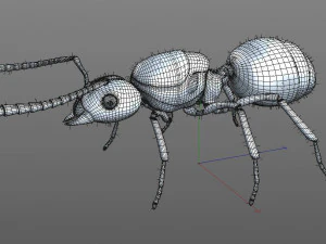 ant pbr rigged low poly insect 3D Model