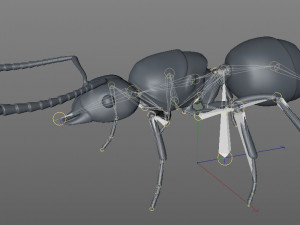 ant pbr rigged low poly insect 3D Модель