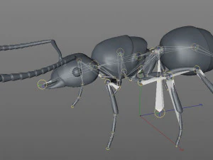 ant pbr rigged low poly insect 3D Model
