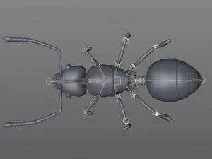 ant pbr rigged low poly insect 3D Model