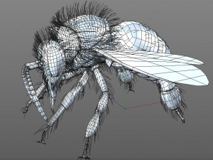 bee rigged hairs insect 3D Модель