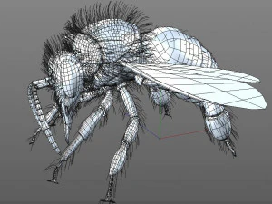 bee rigged hairs insect 3D Model