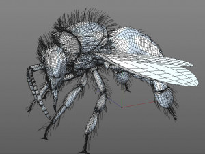 bee rigged hairs insect 3D Модель