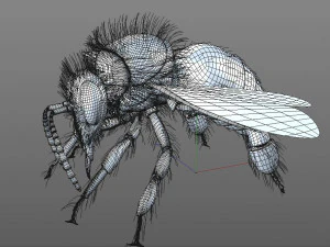 bee rigged hairs insect 3D Model
