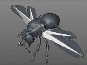 bee rigged hairs insect 3D Модель