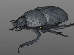 dung beetle insect low poly pbr rigged 3D Model
