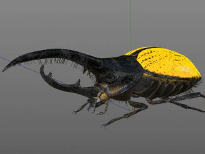hercules beetle rigged pbr low poly insect 3D Model
