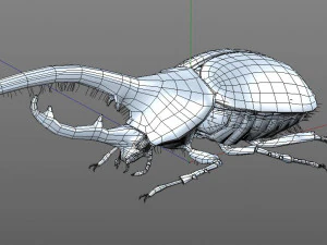 hercules beetle rigged pbr low poly insect 3D Model