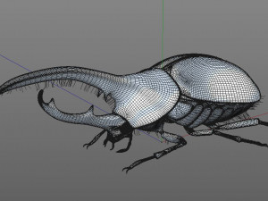 hercules beetle rigged pbr low poly insect 3Dモデル
