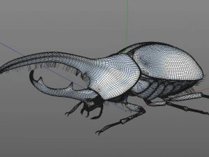 hercules beetle rigged pbr low poly insect 3D Model