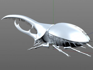 hercules beetle rigged pbr low poly insect 3Dモデル