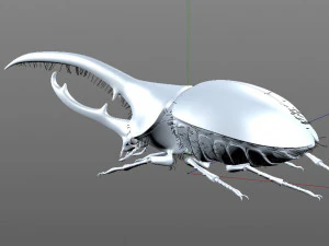 hercules beetle rigged pbr low poly insect 3D Model