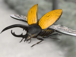 hercules beetle rigged pbr low poly insect 3D Model